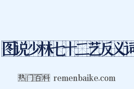 图说少林七十二艺反义词是什么意思的图片